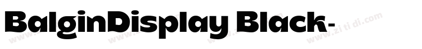 BalginDisplay Black字体转换